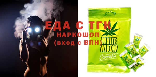 индика Абинск