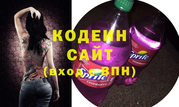 гашик Болотное
