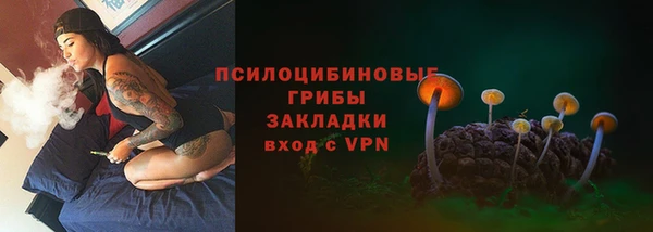 индика Абинск