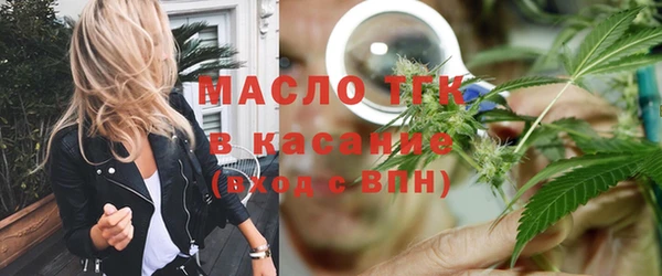 индика Абинск