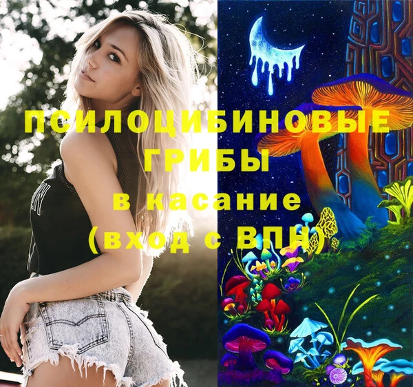 ПСИЛОЦИБИНОВЫЕ ГРИБЫ Осинники