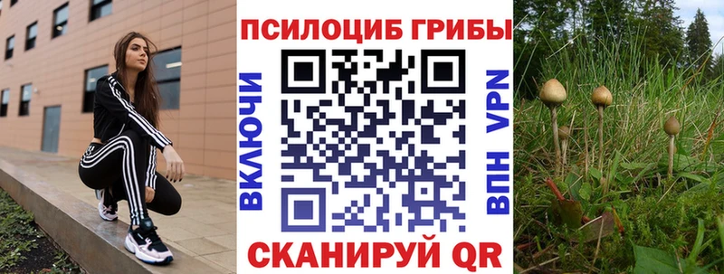 Псилоцибиновые грибы прущие грибы  Тайга 