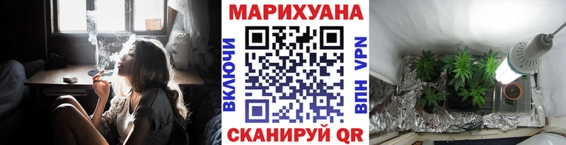 Конопля планчик Тайга